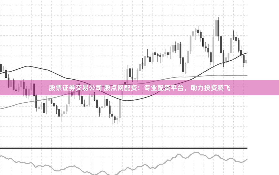 股票证券交易公司 股点网配资：专业配资平台，助力投资腾飞