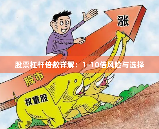 股票杠杆倍数详解：1-10倍风险与选择